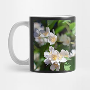 Sweet mock-orange (Philadelphus coronarius) flowers Mug